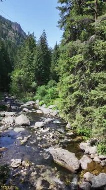 Beli Iskar Nehri yakınlarındaki Rila Dağı, Sofya Bölgesi, Bulgaristan