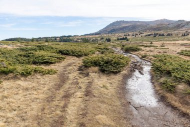 Bulgaristan 'ın Kamen Del zirvesi yakınlarındaki Vitosha Dağı' nın şaşırtıcı sonbahar manzarası