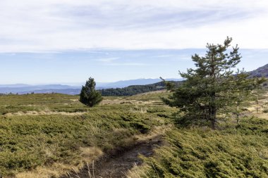 Bulgaristan 'ın Kamen Del zirvesi yakınlarındaki Vitosha Dağı' nın şaşırtıcı sonbahar manzarası