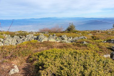 Bulgaristan 'ın Kamen Del zirvesi yakınlarındaki Vitosha Dağı' nın şaşırtıcı sonbahar manzarası
