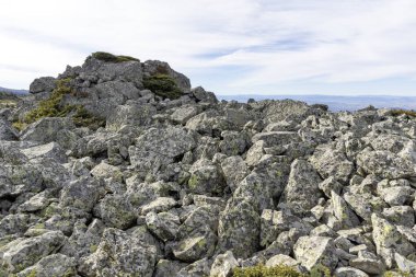 Bulgaristan 'ın Kamen Del zirvesi yakınlarındaki Vitosha Dağı' nın şaşırtıcı sonbahar manzarası