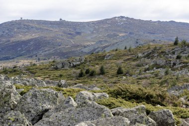 Bulgaristan 'ın Kamen Del zirvesi yakınlarındaki Vitosha Dağı' nın şaşırtıcı sonbahar manzarası