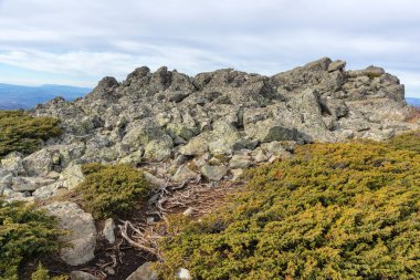 Bulgaristan 'ın Kamen Del zirvesi yakınlarındaki Vitosha Dağı' nın şaşırtıcı sonbahar manzarası
