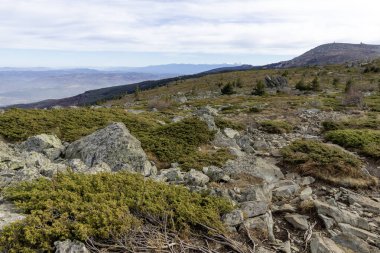 Bulgaristan 'ın Kamen Del zirvesi yakınlarındaki Vitosha Dağı' nın şaşırtıcı sonbahar manzarası