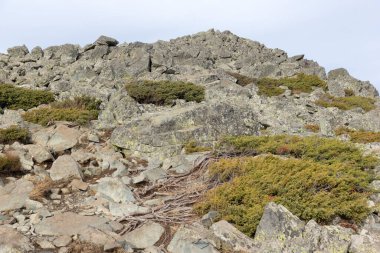 Bulgaristan 'ın Kamen Del zirvesi yakınlarındaki Vitosha Dağı' nın şaşırtıcı sonbahar manzarası
