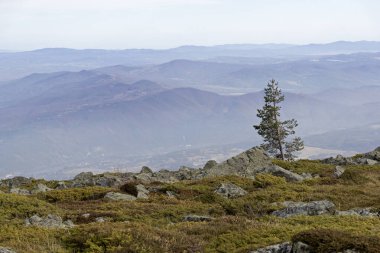 Bulgaristan 'ın Kamen Del zirvesi yakınlarındaki Vitosha Dağı' nın şaşırtıcı sonbahar manzarası