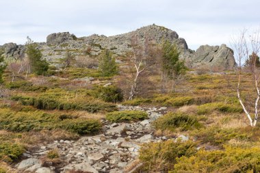 Bulgaristan 'ın Kamen Del zirvesi yakınlarındaki Vitosha Dağı' nın şaşırtıcı sonbahar manzarası
