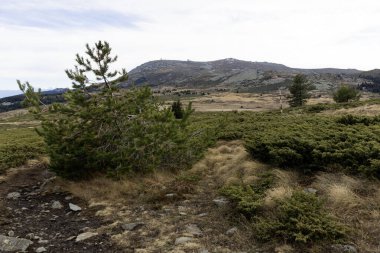 Bulgaristan 'ın Kamen Del zirvesi yakınlarındaki Vitosha Dağı' nın şaşırtıcı sonbahar manzarası