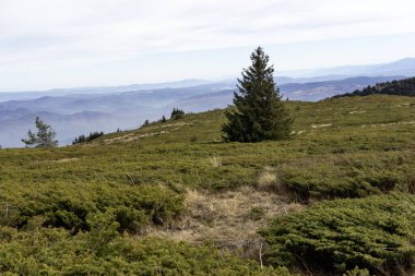 Bulgaristan 'ın Kamen Del zirvesi yakınlarındaki Vitosha Dağı' nın şaşırtıcı sonbahar manzarası
