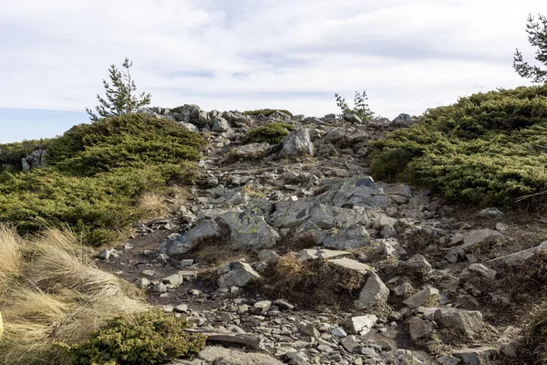 Bulgaristan 'ın Kamen Del zirvesi yakınlarındaki Vitosha Dağı' nın şaşırtıcı sonbahar manzarası