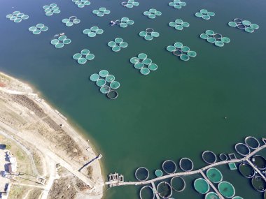 Bulgaristan 'ın Montana bölgesindeki Ogosta Barajı' nın Sonbahar Havası manzarası