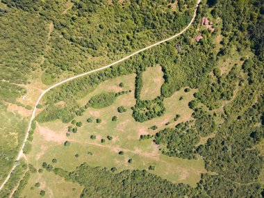 Rudina Dağı, Pernik Bölgesi, Bulgaristan 'ın İnanılmaz Yaz Manzarası