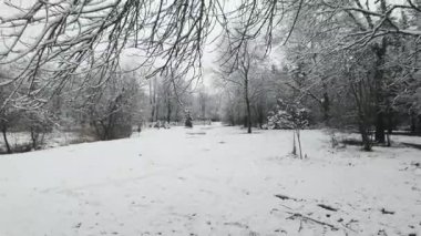 Bulgaristan 'ın Sofya kentindeki South Park' ın şaşırtıcı kış manzarası