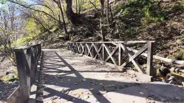 harika sonbahar manzarası, rila dağı, bulgaria