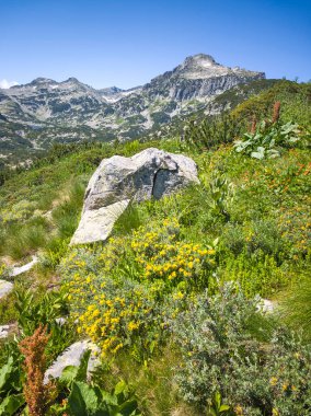 Bulgaristan 'ın Banski Gölleri yakınlarındaki Pirin Dağı' nın İnanılmaz Yaz manzarası