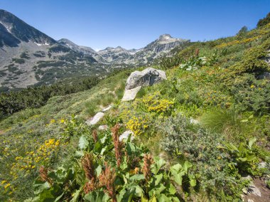 Bulgaristan 'ın Banski Gölleri yakınlarındaki Pirin Dağı' nın İnanılmaz Yaz manzarası