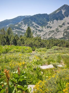Bulgaristan 'ın Banski Gölleri yakınlarındaki Pirin Dağı' nın İnanılmaz Yaz manzarası