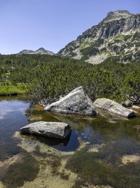 Bulgaristan 'ın Banski Gölleri yakınlarındaki Pirin Dağı' nın İnanılmaz Yaz manzarası