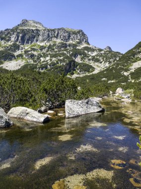 Bulgaristan 'ın Banski Gölleri yakınlarındaki Pirin Dağı' nın İnanılmaz Yaz manzarası