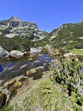 Bulgaristan 'ın Banski Gölleri yakınlarındaki Pirin Dağı' nın İnanılmaz Yaz manzarası