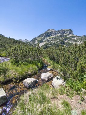 Bulgaristan 'ın Banski Gölleri yakınlarındaki Pirin Dağı' nın İnanılmaz Yaz manzarası