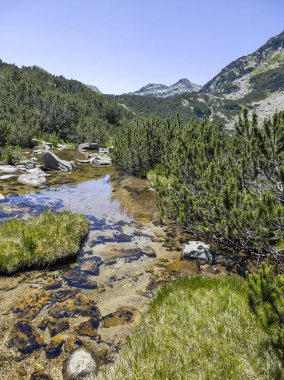 Bulgaristan 'ın Banski Gölleri yakınlarındaki Pirin Dağı' nın İnanılmaz Yaz manzarası