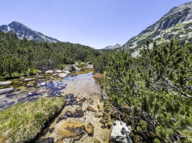 Bulgaristan 'ın Banski Gölleri yakınlarındaki Pirin Dağı' nın İnanılmaz Yaz manzarası