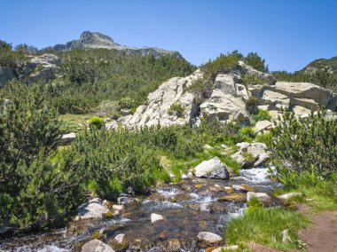 Bulgaristan 'ın Banski Gölleri yakınlarındaki Pirin Dağı' nın İnanılmaz Yaz manzarası