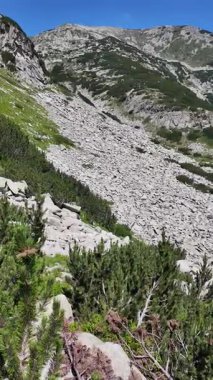Bulgaristan 'ın Banderitsa Gölü çevresindeki Pirin Dağı' nın şaşırtıcı yaz manzarası