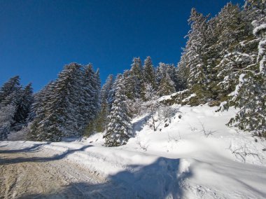Bulgaristan 'ın Sofya Şehir Bölgesi, Vitosha Dağı' nın İnanılmaz Kış manzarası
