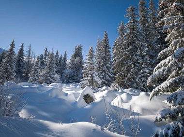 Bulgaristan 'ın Sofya Şehir Bölgesi, Vitosha Dağı' nın İnanılmaz Kış manzarası