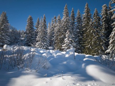 Bulgaristan 'ın Sofya Şehir Bölgesi, Vitosha Dağı' nın İnanılmaz Kış manzarası