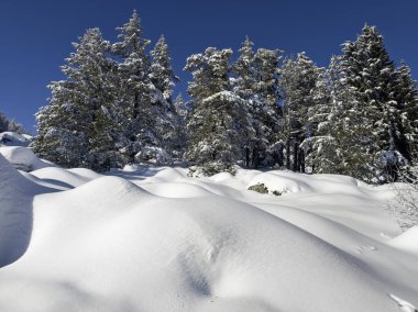 Bulgaristan 'ın Sofya Şehir Bölgesi, Vitosha Dağı' nın İnanılmaz Kış manzarası