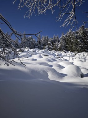 Bulgaristan 'ın Sofya Şehir Bölgesi, Vitosha Dağı' nın İnanılmaz Kış manzarası