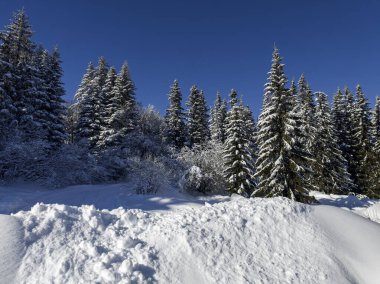 Bulgaristan 'ın Sofya Şehir Bölgesi, Vitosha Dağı' nın İnanılmaz Kış manzarası