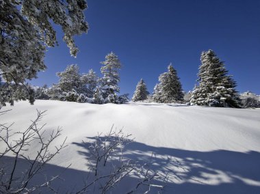 Bulgaristan 'ın Sofya Şehir Bölgesi, Vitosha Dağı' nın İnanılmaz Kış manzarası