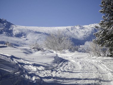 Bulgaristan 'ın Sofya Şehir Bölgesi, Vitosha Dağı' nın İnanılmaz Kış manzarası