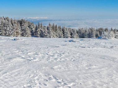 Bulgaristan 'ın Sofya Şehir Bölgesi, Vitosha Dağı' nın İnanılmaz Kış manzarası