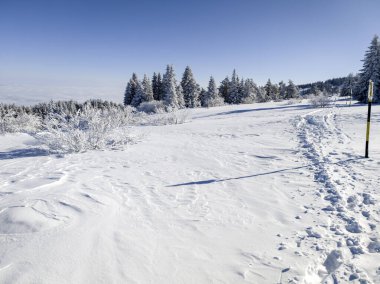 Bulgaristan 'ın Sofya Şehir Bölgesi, Vitosha Dağı' nın İnanılmaz Kış manzarası