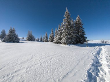Bulgaristan 'ın Sofya Şehir Bölgesi, Vitosha Dağı' nın İnanılmaz Kış manzarası