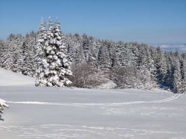 Bulgaristan 'ın Sofya Şehir Bölgesi, Vitosha Dağı' nın İnanılmaz Kış manzarası
