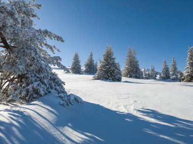 Bulgaristan 'ın Sofya Şehir Bölgesi, Vitosha Dağı' nın İnanılmaz Kış manzarası