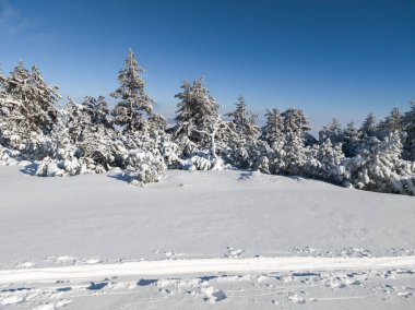 Bulgaristan 'ın Sofya Şehir Bölgesi, Vitosha Dağı' nın İnanılmaz Kış manzarası