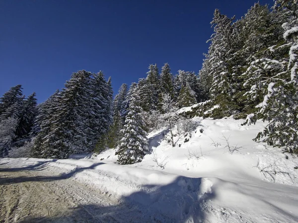 Bulgaristan 'ın Sofya Şehir Bölgesi, Vitosha Dağı' nın İnanılmaz Kış manzarası