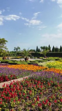 Bulgaristan 'ın Dobrich bölgesinin Balchik kentindeki Botanik Bahçesi' nin inanılmaz manzarası