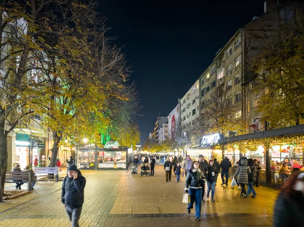 SOFYA, BULGARIA - 13 Eylül 2025: Bulgaristan 'ın Sofya Şehir Merkezi' nin panoramik gece manzarası