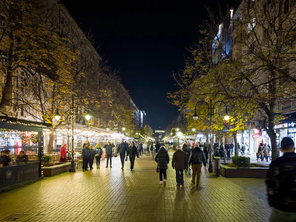 SOFYA, BULGARIA - 13 Eylül 2025: Bulgaristan 'ın Sofya Şehir Merkezi' nin panoramik gece manzarası