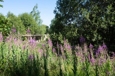 Bulgaristan 'ın Blagoevgrad bölgesinin Kongur tepesi çevresindeki Belasitsa Dağı yaz manzarası