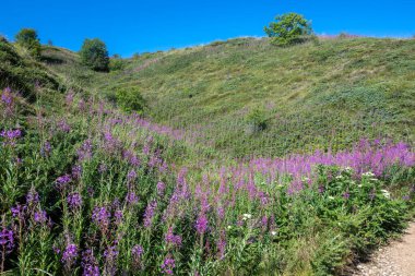 Bulgaristan 'ın Blagoevgrad bölgesinin Kongur tepesi çevresindeki Belasitsa Dağı yaz manzarası