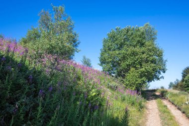 Bulgaristan 'ın Blagoevgrad bölgesinin Kongur tepesi çevresindeki Belasitsa Dağı yaz manzarası